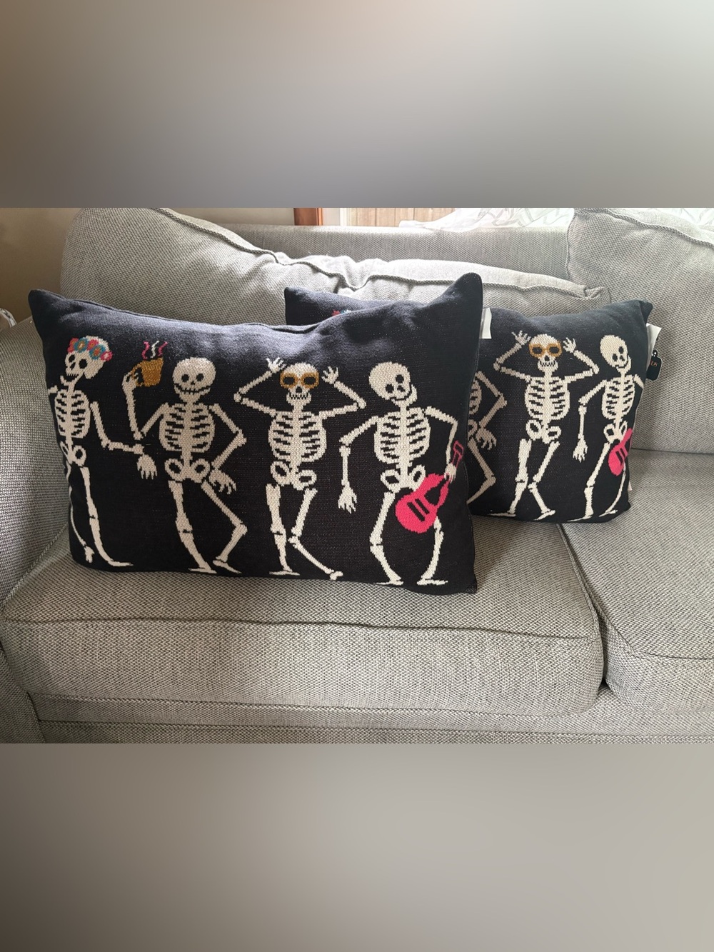 NWT Skull and Bones Skeleton Black Decorative Pillow with Pink Accent-set of 2